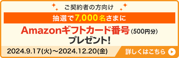 2024年度 マイページダブルチャンスキャンペーン！！ マイページの開設で、抽選で7,000名さまにAmazonギフトカード番号(500円分)プレゼント！ すでにマイページ開設済の方も、マイページ再ログインでプレゼント！(期間：2024.9.17(火)～2024.12.20(金))