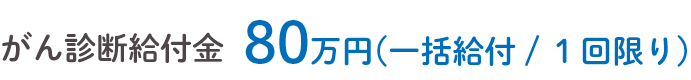 がん診断給付金80万円（一括給付 / 1回限り）