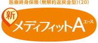 医療終身保険(無解約返戻金型)(20) 新メディフィットA〈エース〉